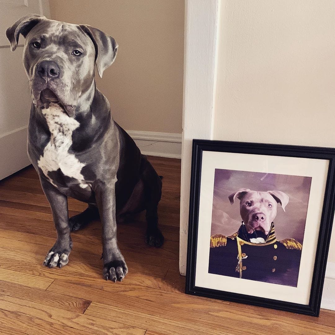 The Admiral - Custom Pet Poster