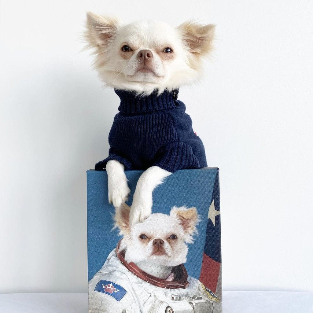 The Astronaut - Custom Pet Canvas