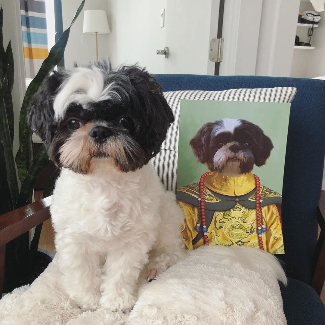 The Chinese Emperor - Custom Pet Canvas