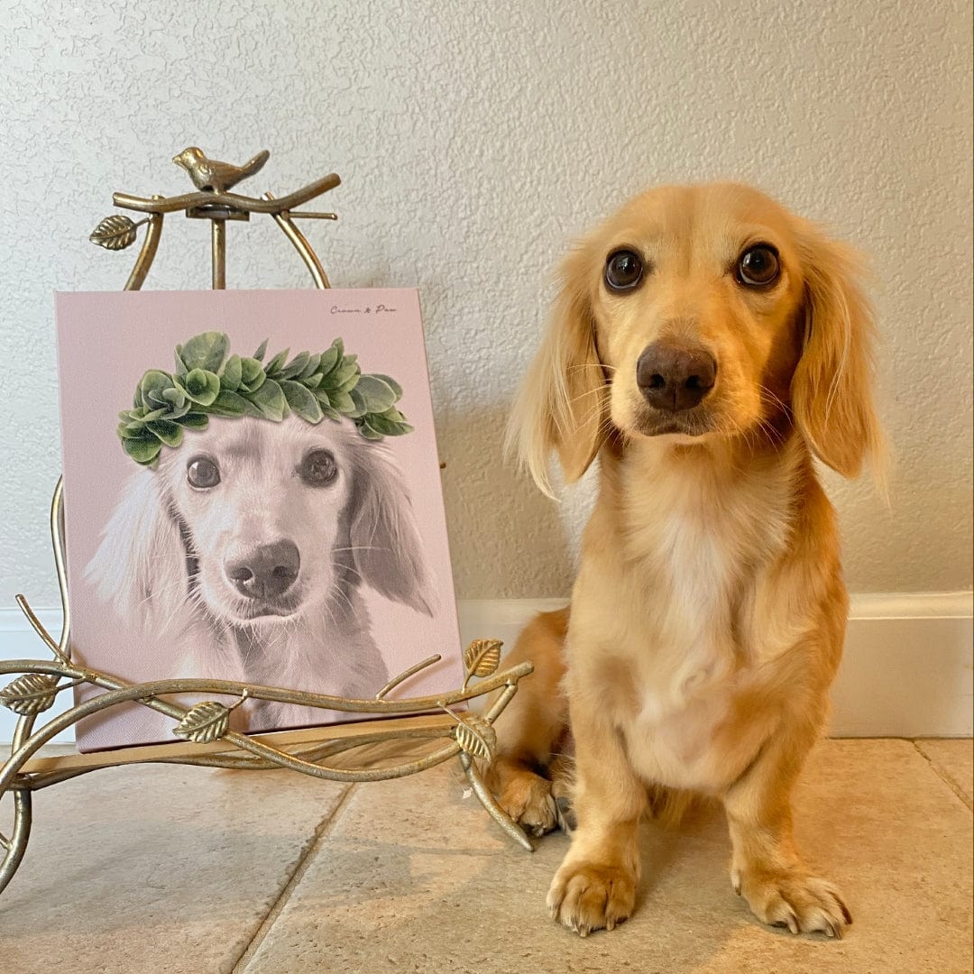 Roman Crown Pet Portrait - Custom Canvas