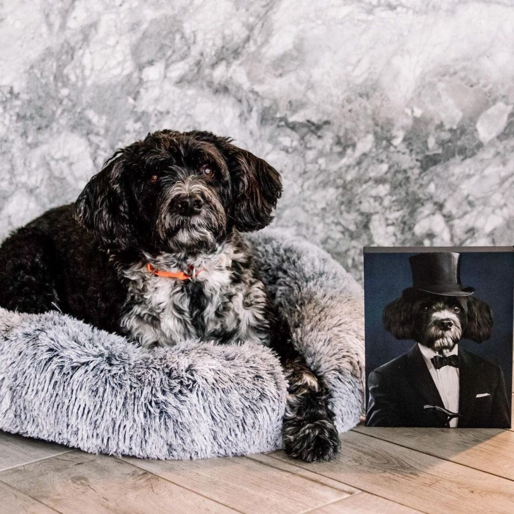 The Gentleman - Custom Pet Canvas