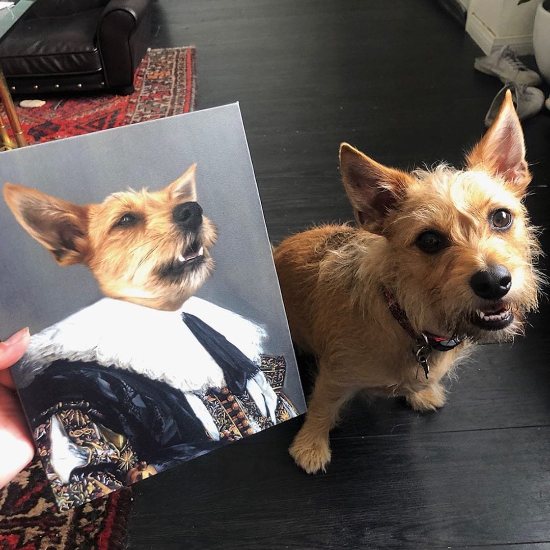 The Laughing Cavalier - Custom Pet Canvas