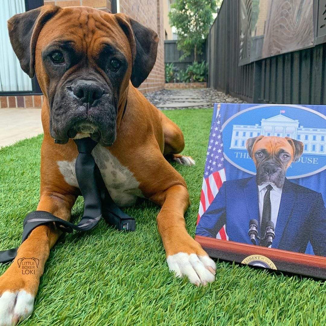 The Pawresident - Custom Pet Canvas