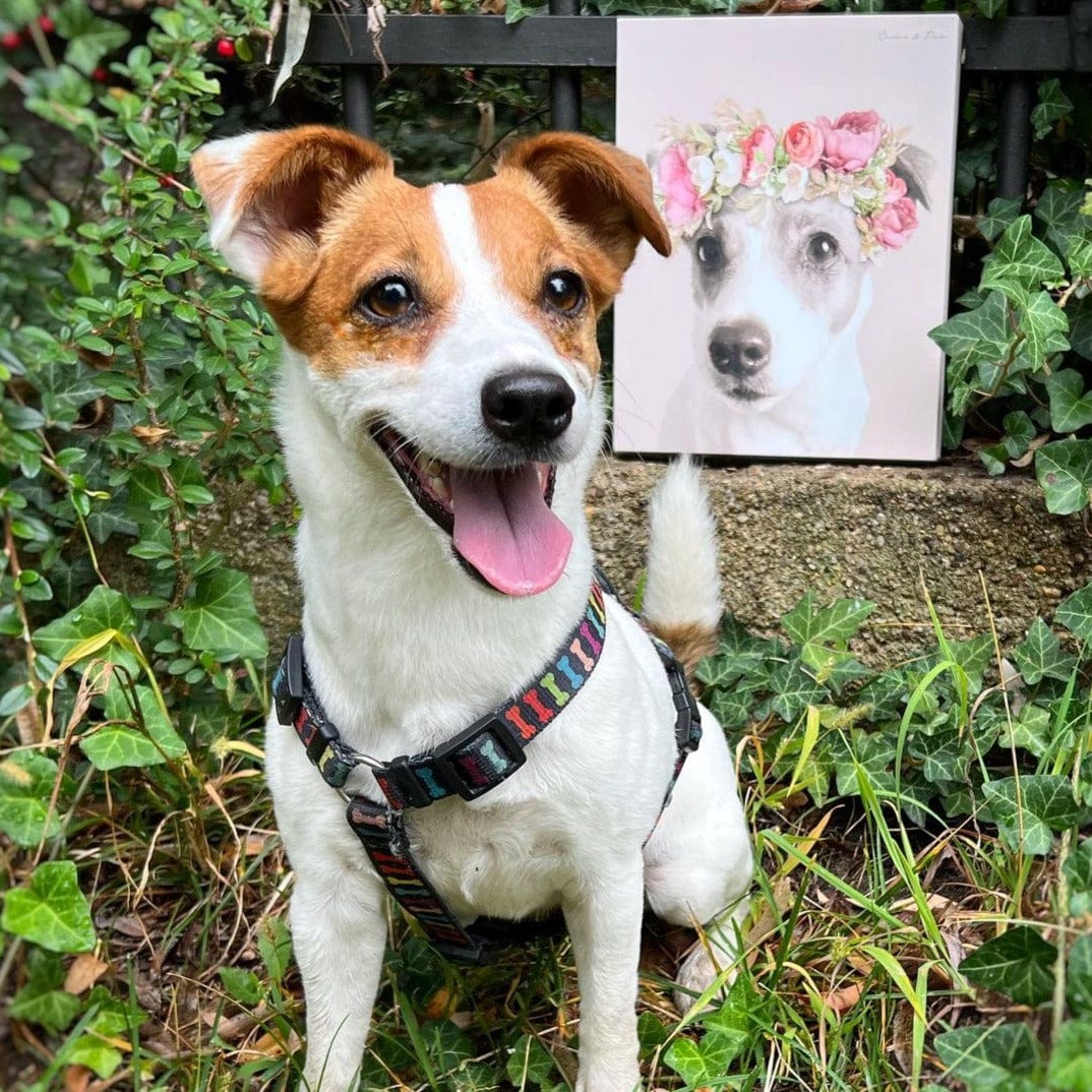 Floral Crown Pet Portrait - Custom Canvas