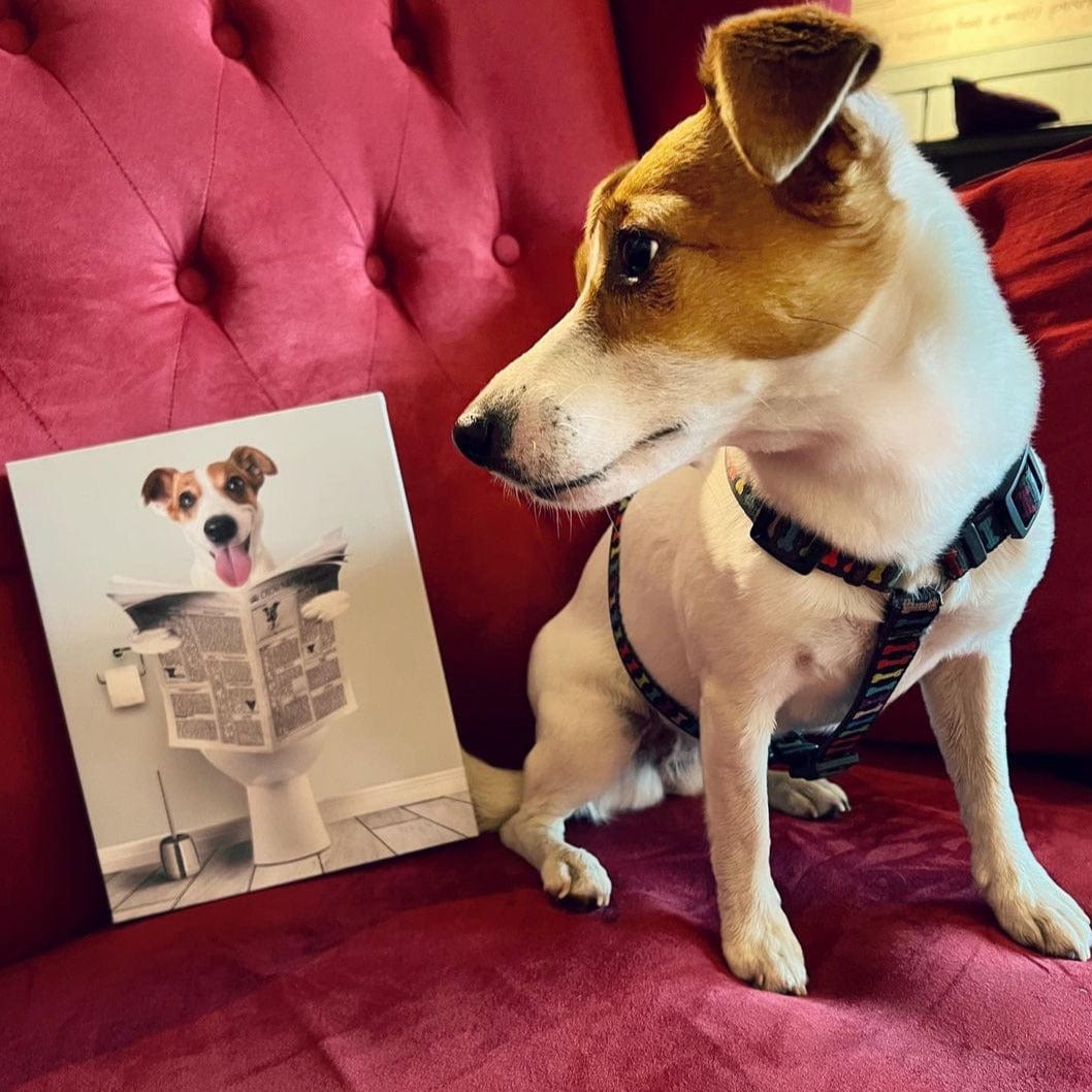 Restroom Pet Portrait - Custom Pet Art