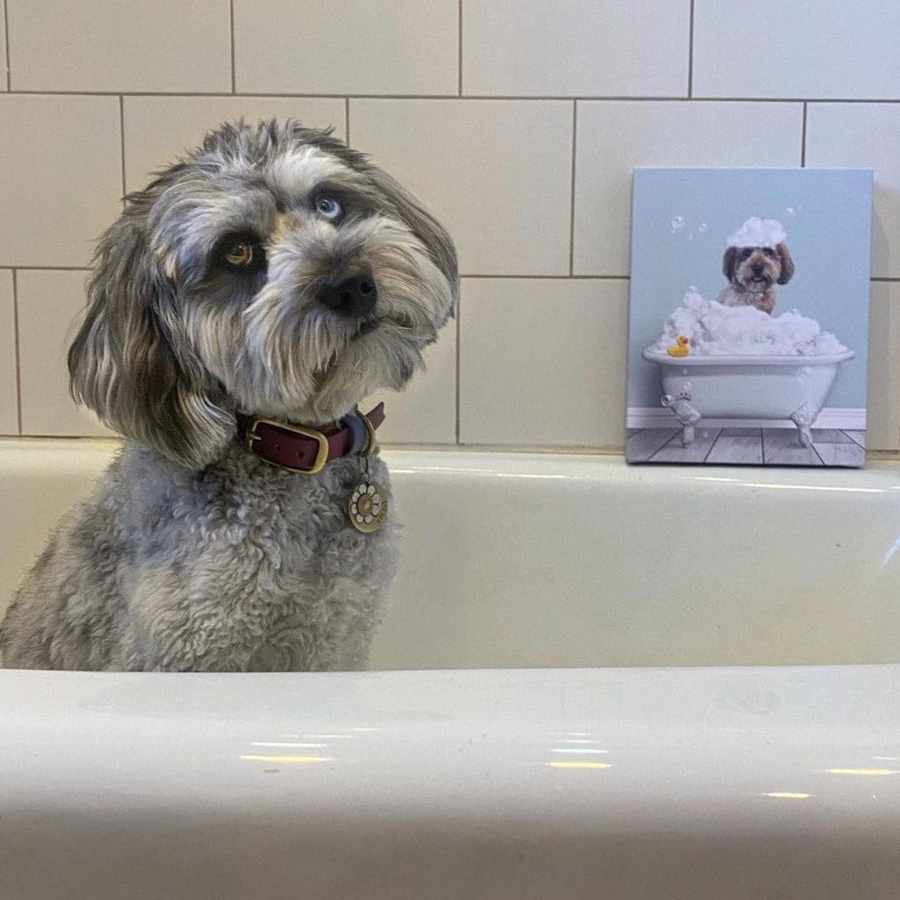 Bath Tub Pet Portrait (One Pet) - Custom Pet Art