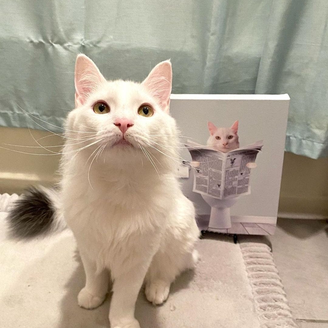 Restroom Pet Portrait - Custom Pet Art