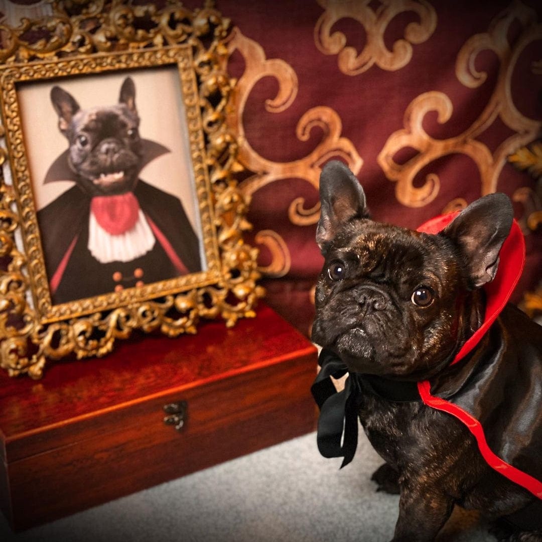 The Vampire - Custom Pet Poster