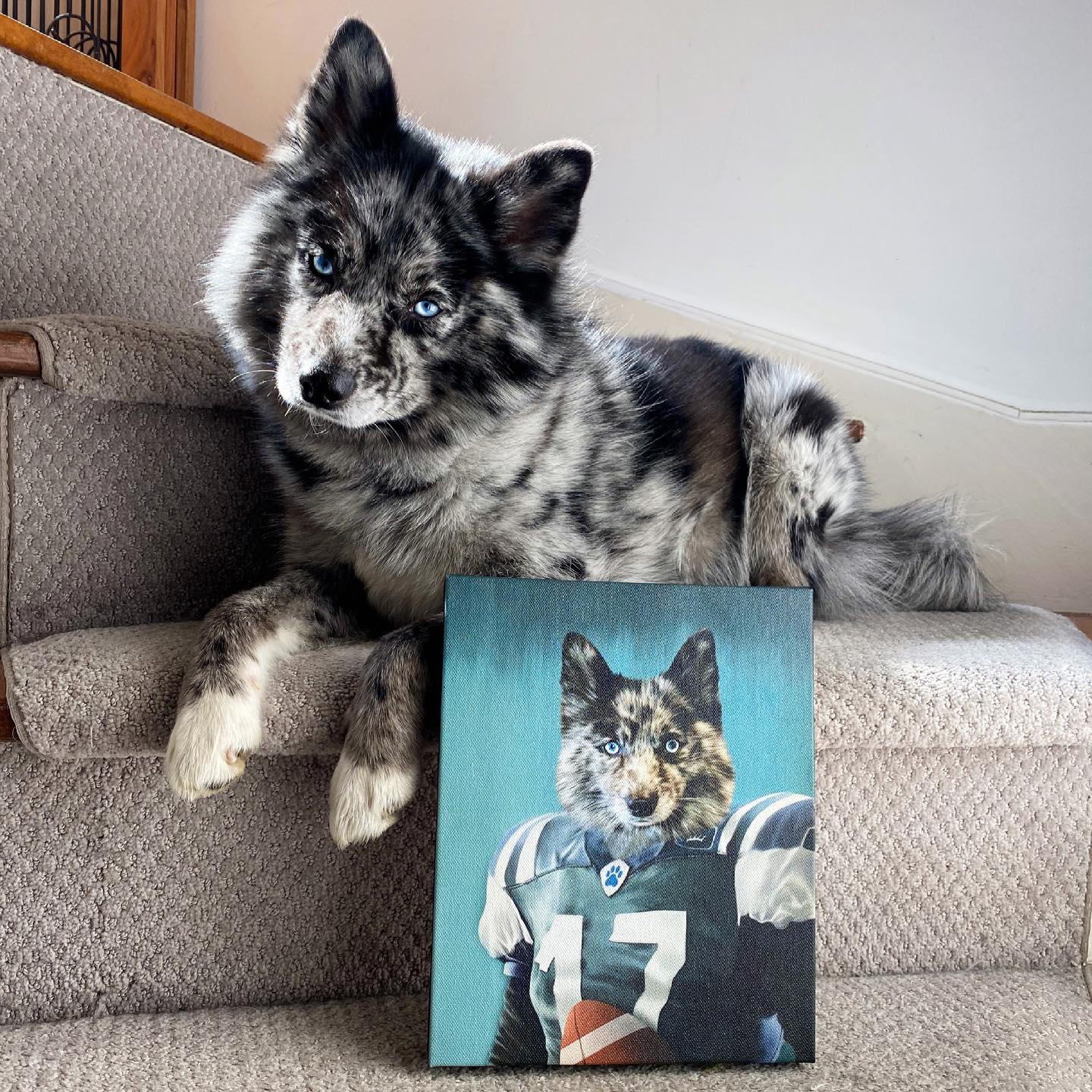 The Football Player - Custom Pet Canvas