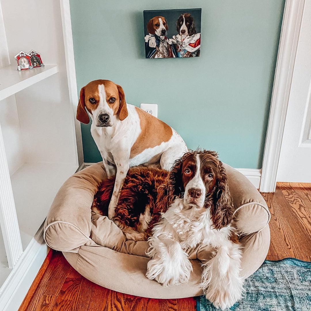 The Rulers - Custom Pet Canvas