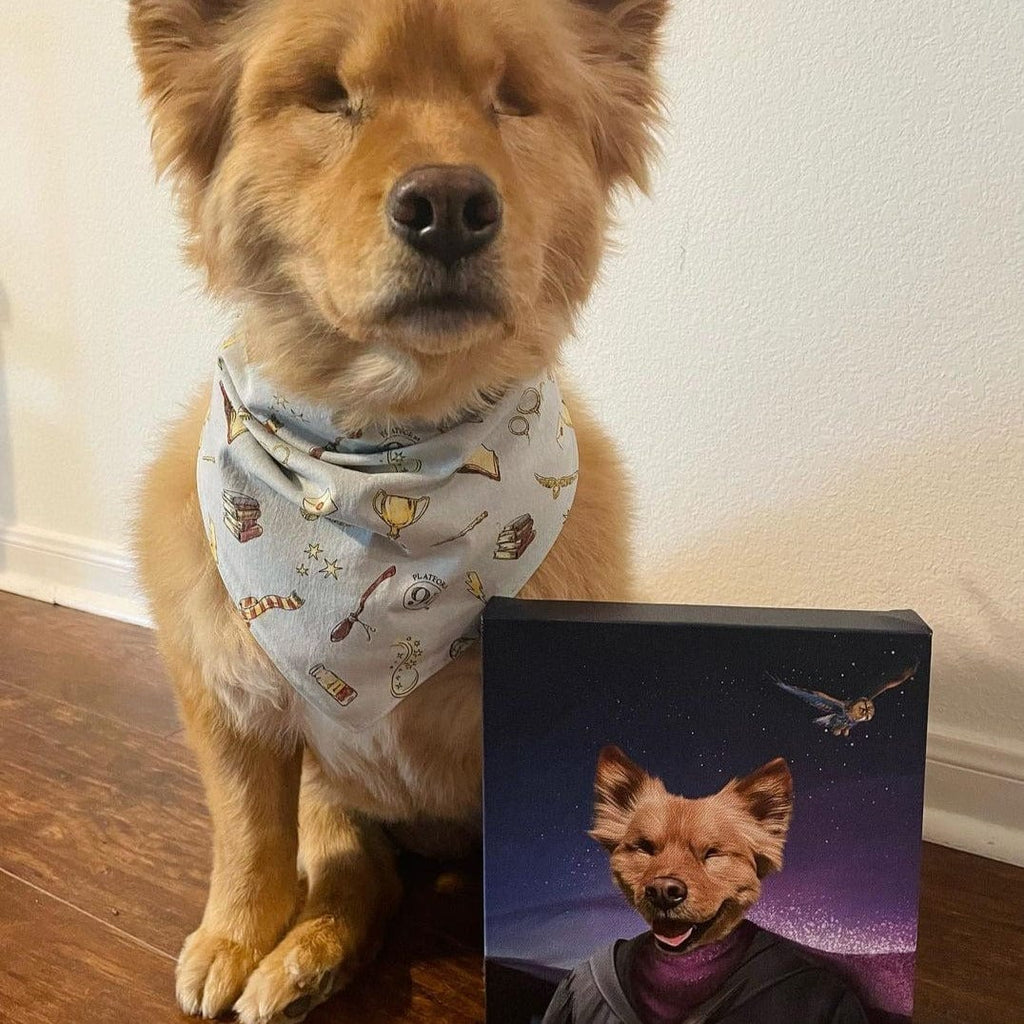 The Wizard - Custom Pet Canvas