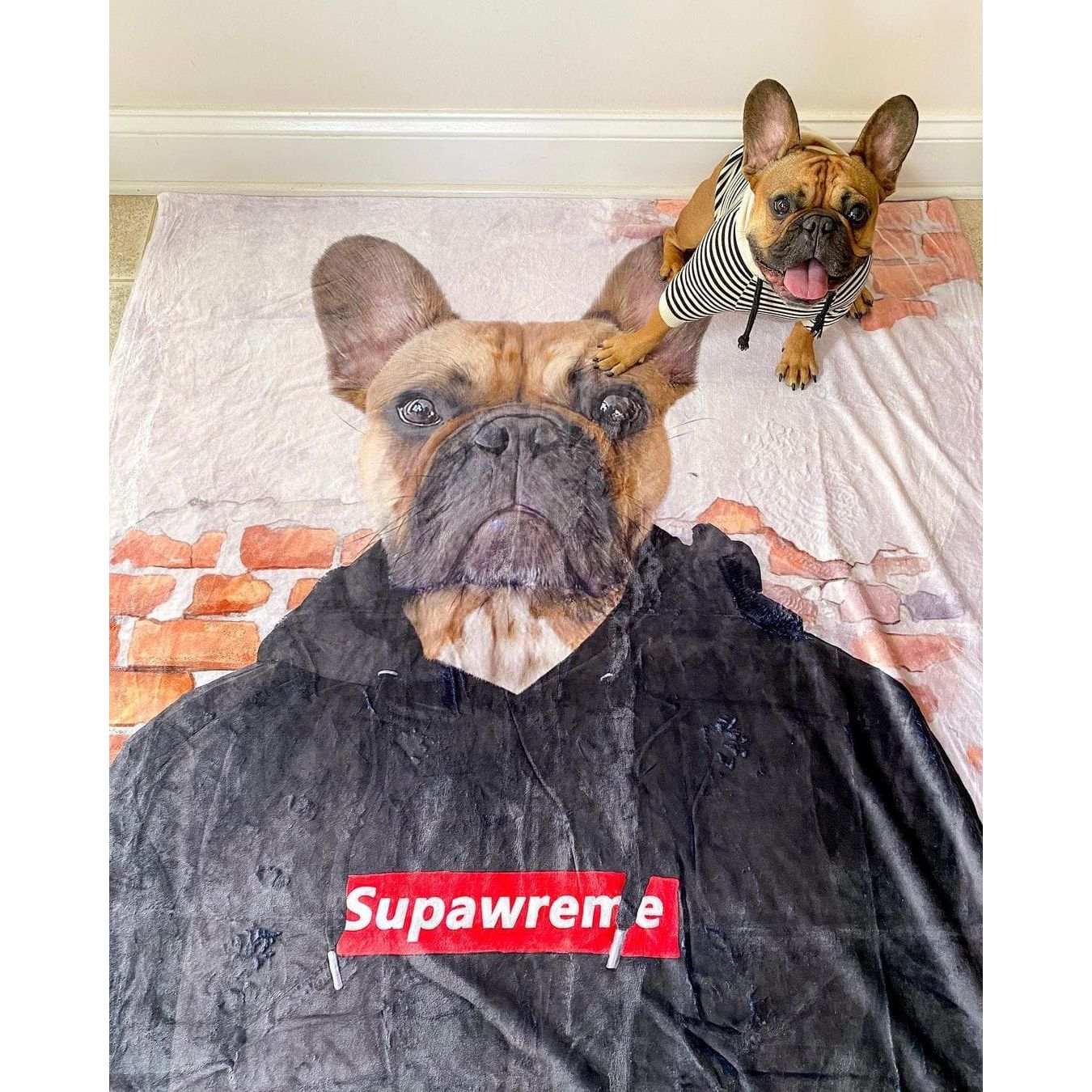 The Hypebeast - Custom Pet Blanket
