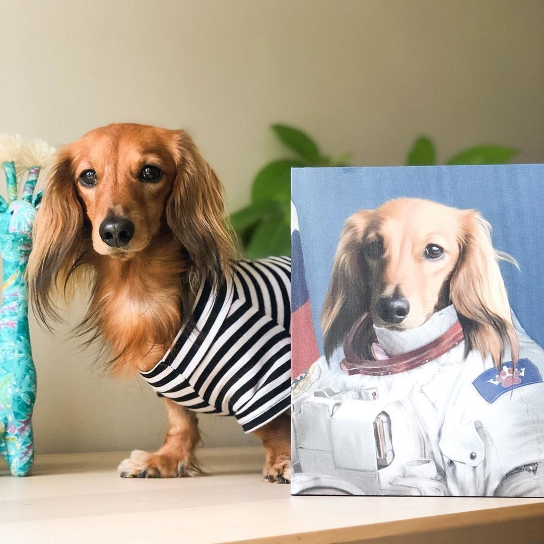 The Astronaut - Custom Pet Canvas