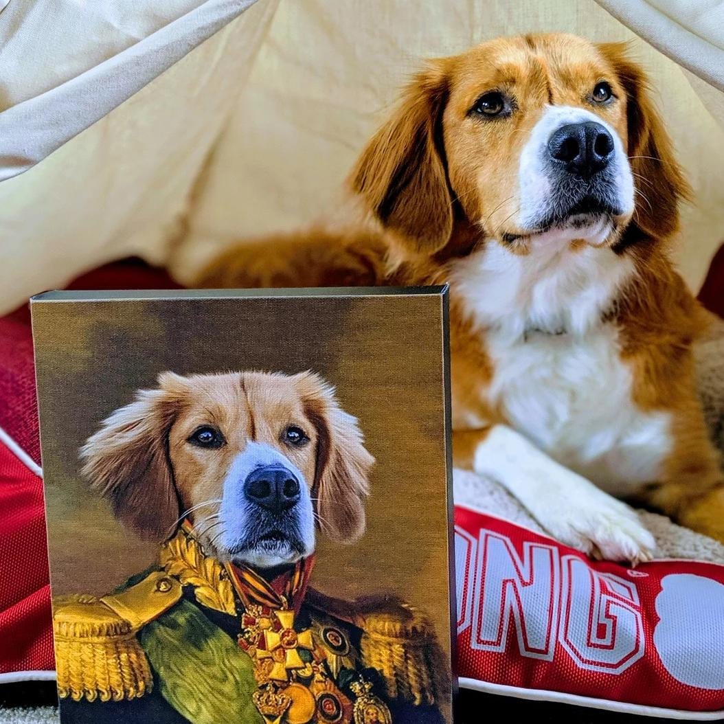 "Crown and Paw - Canvas The Colonel - Custom Pet Canvas 8"" x 10"" / Unframed"