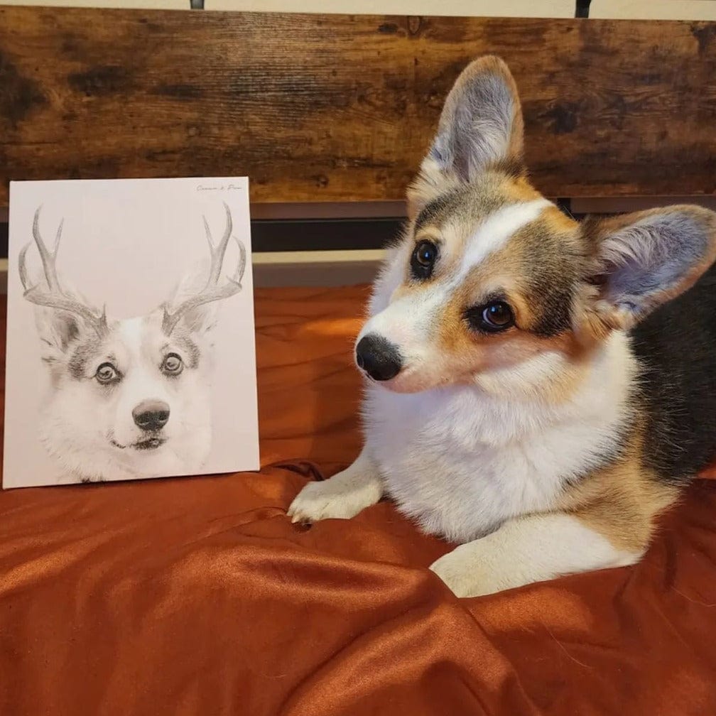 Elk Antlers Pet Portrait - Custom Canvas