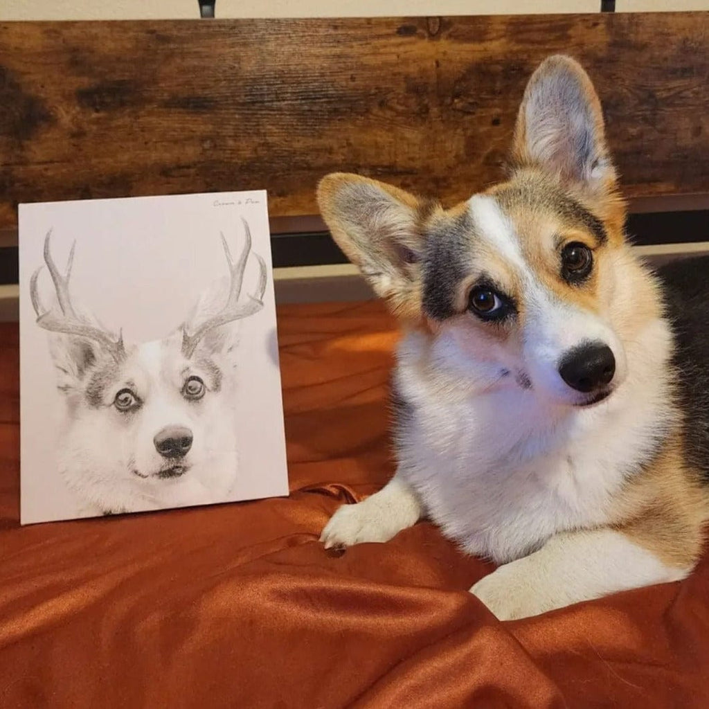 Elk Antlers Pet Portrait - Custom Canvas