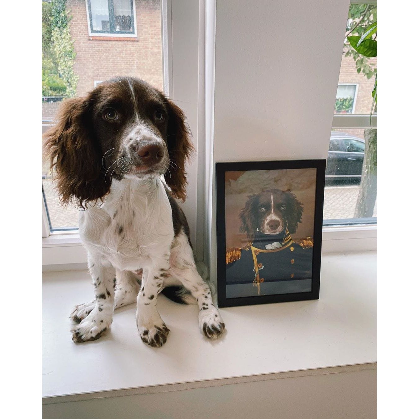 The Admiral - Custom Pet Poster
