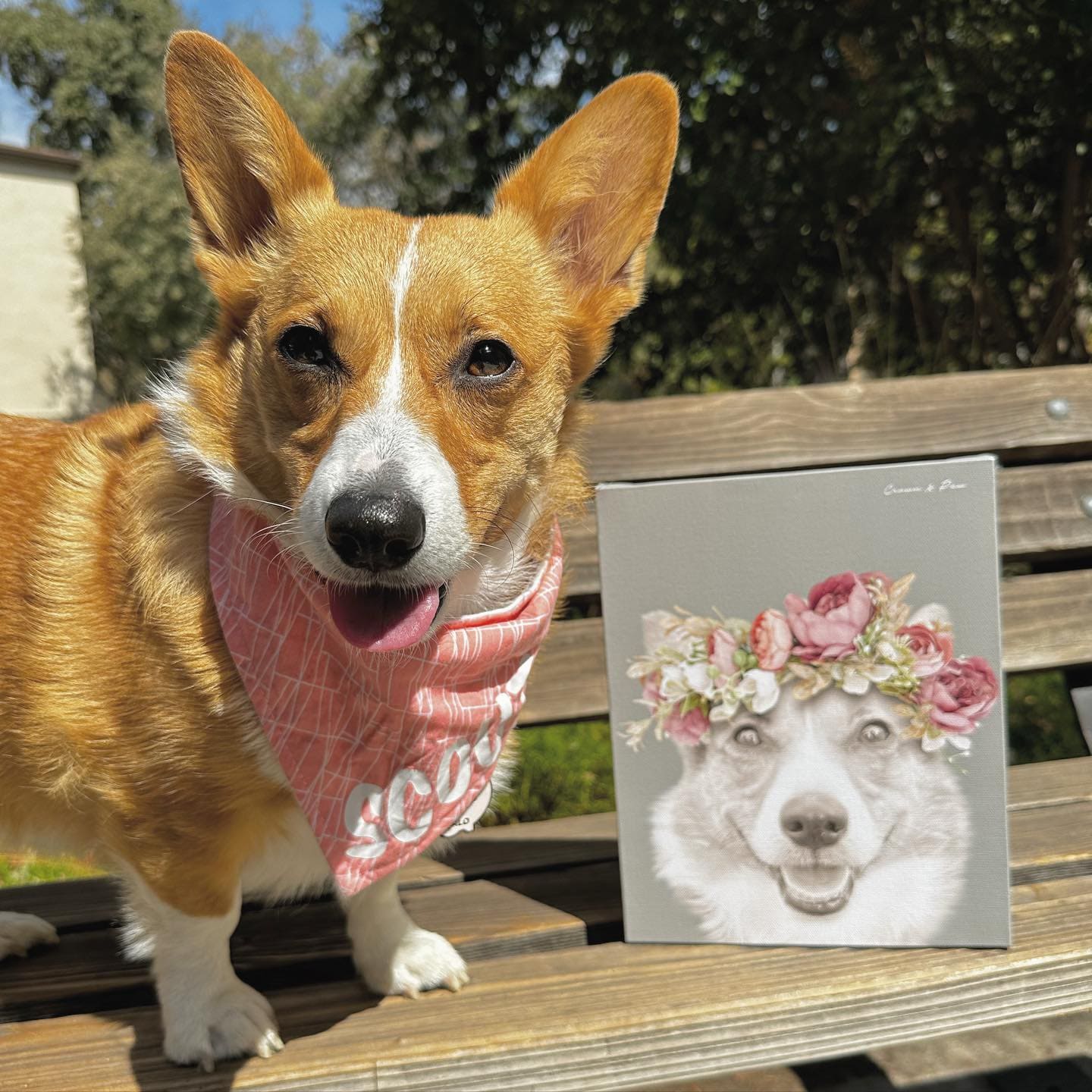 Floral Crown Pet Portrait - Custom Canvas