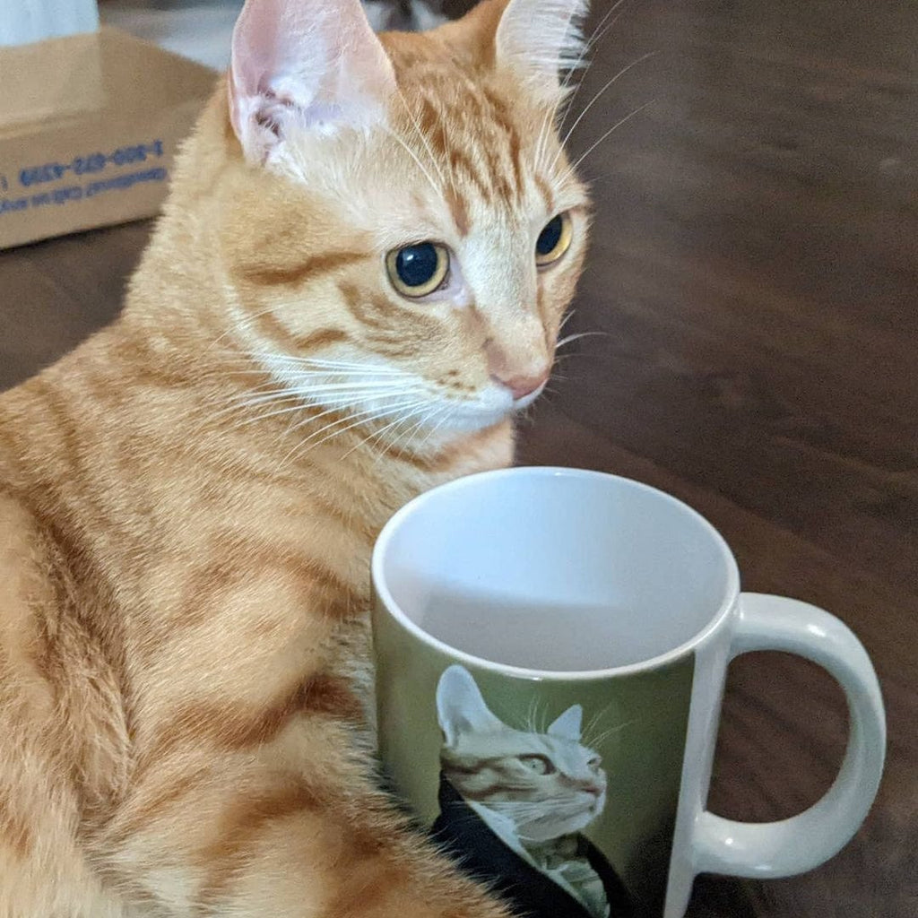 The Ambassador - Custom Mug