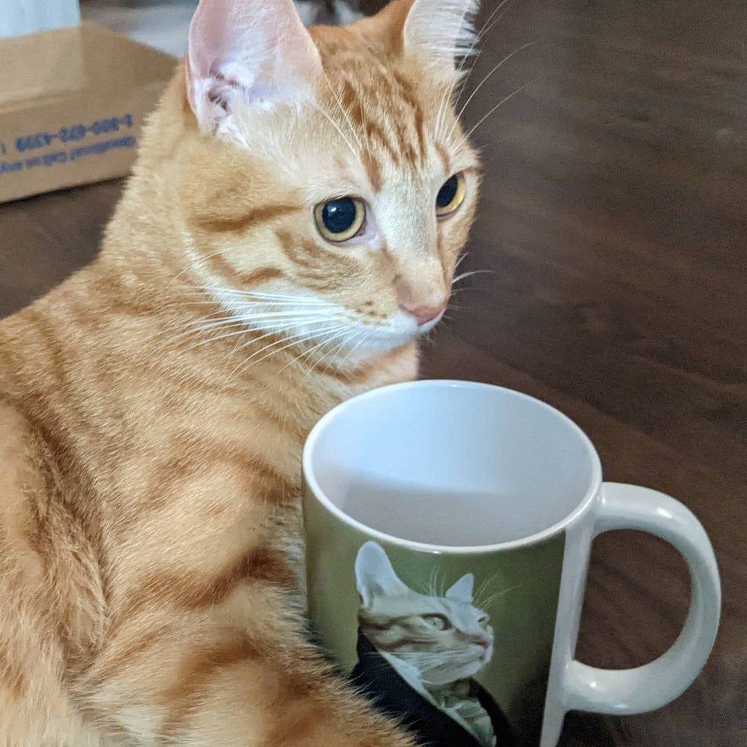 The Ambassador - Custom Mug