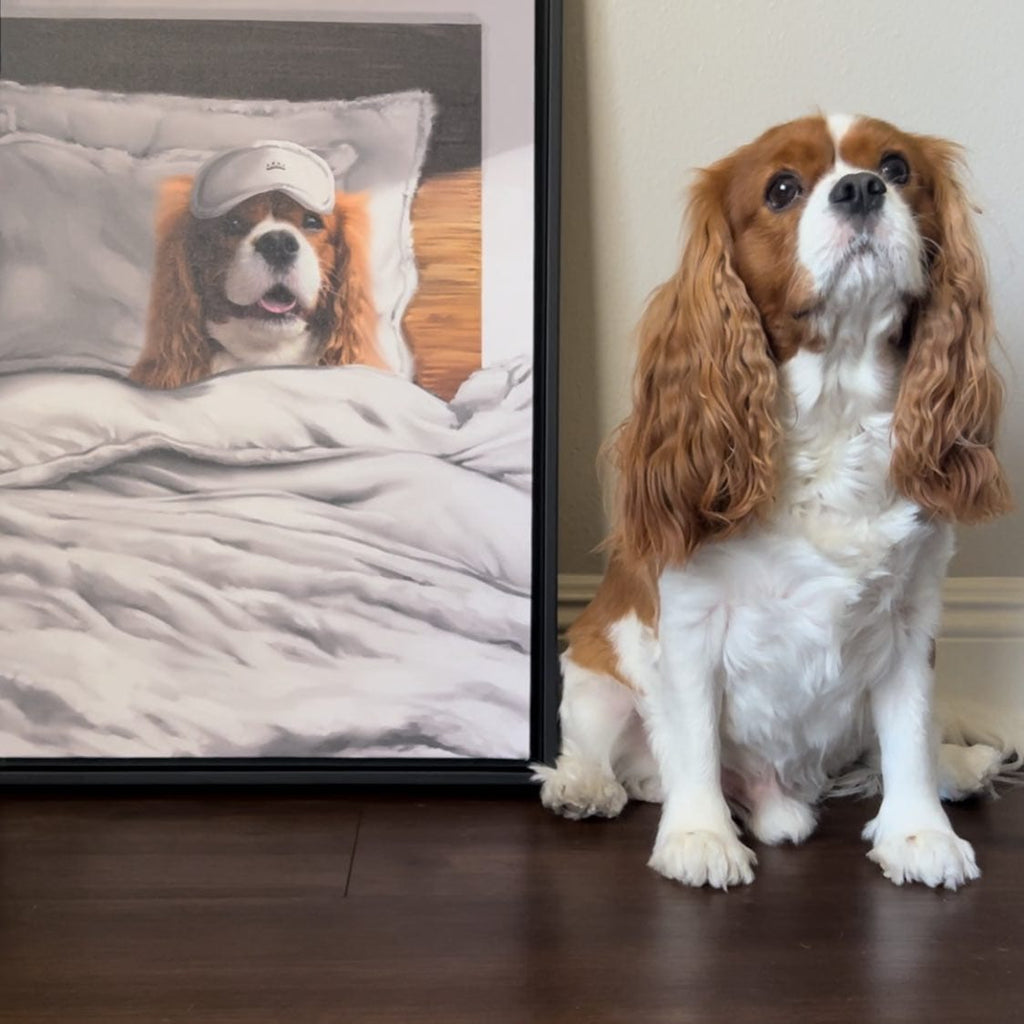 Custom Sleeping Pet Portrait - Framed Poster