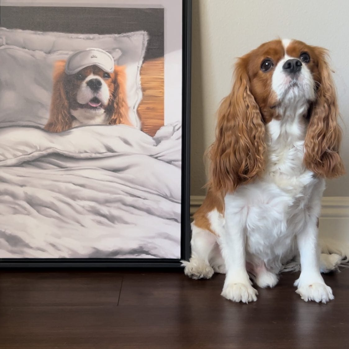 Custom Sleeping Pet Portrait - Framed Poster