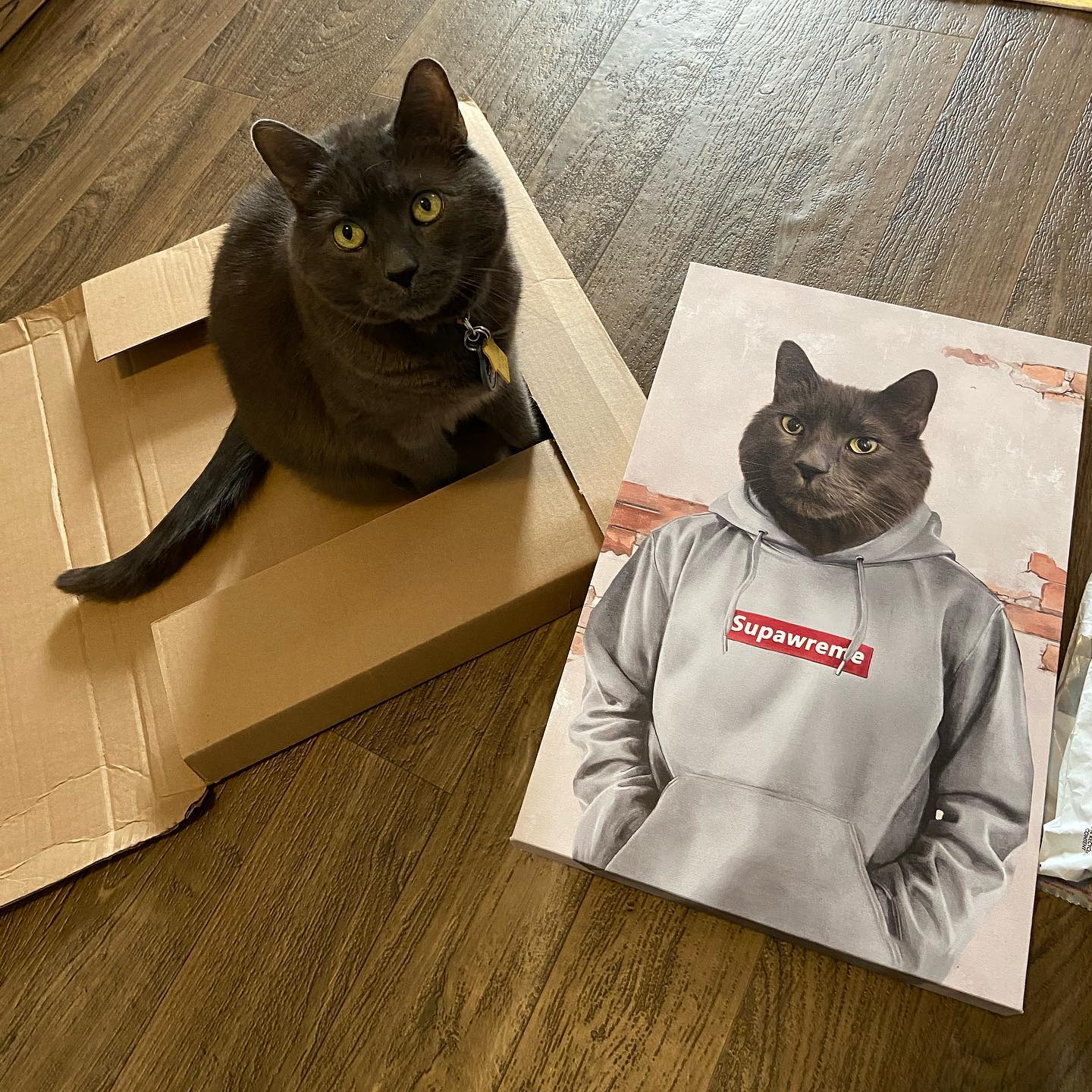"Crown and Paw - Canvas The Hypebeast - Custom Pet Canvas 8"" x 10"" / Grey"