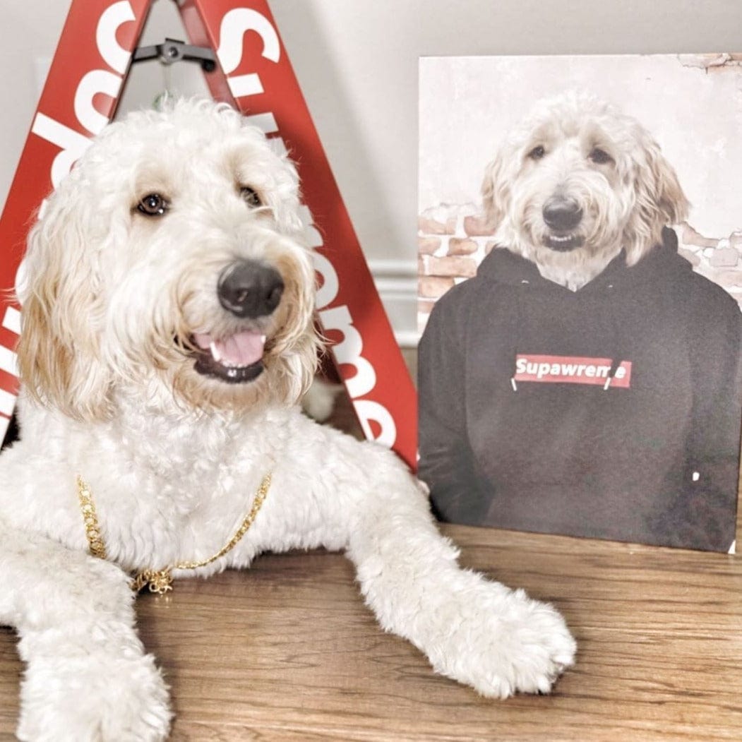 The Hypebeast - Custom Pet Canvas