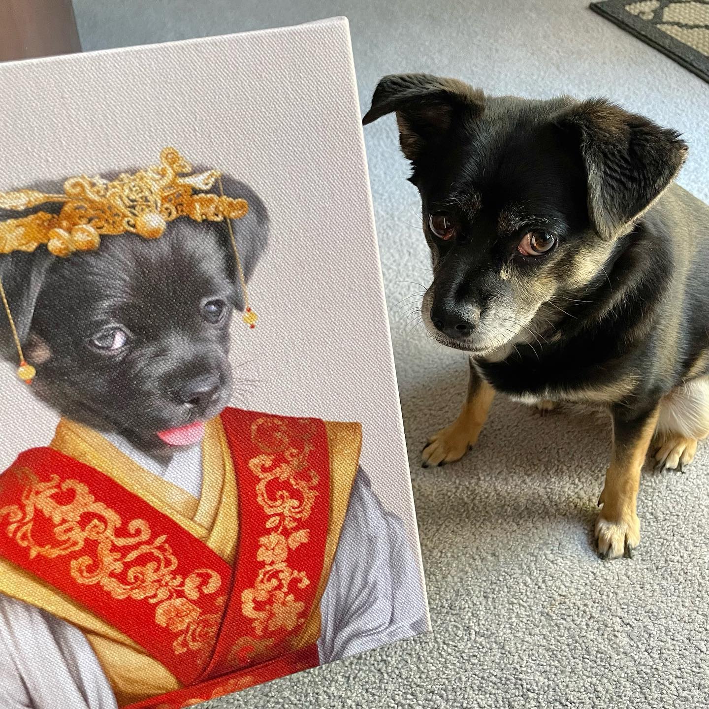 The Asian Empress - Custom Pet Canvas