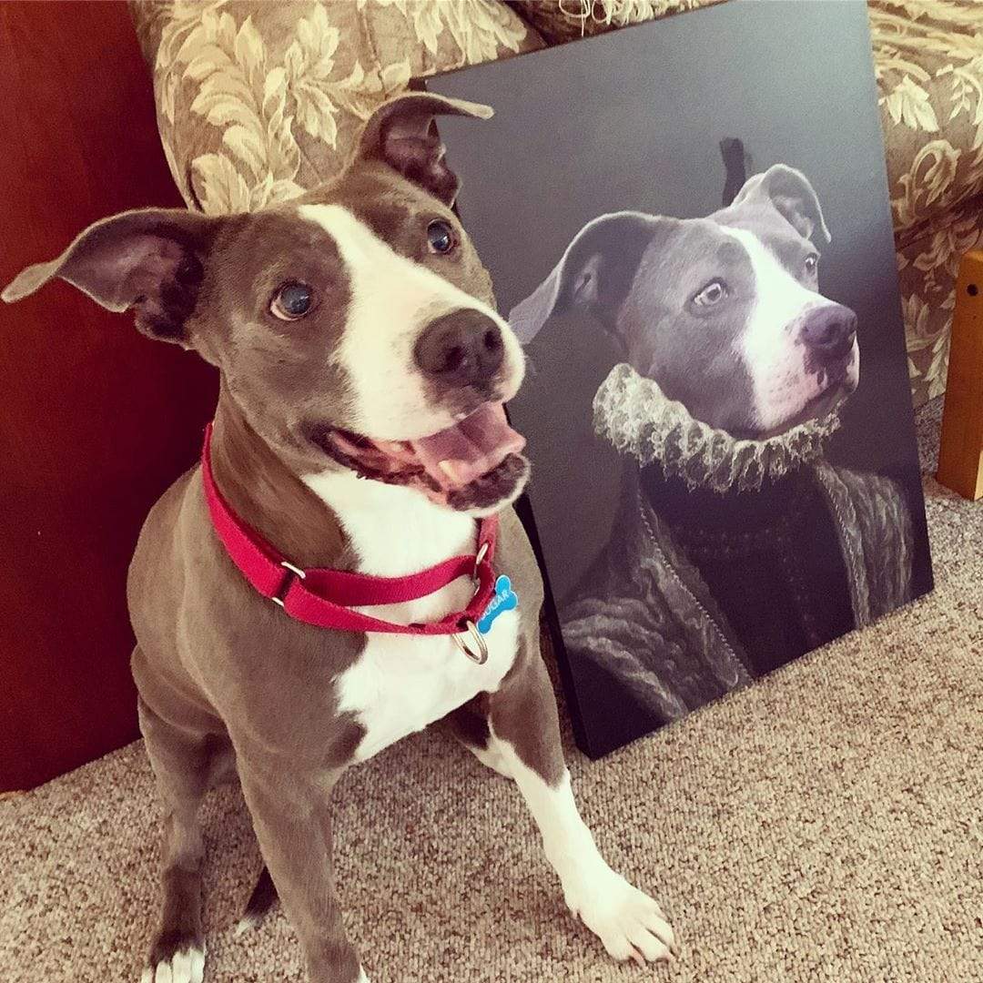 The Countess - Custom Pet Canvas